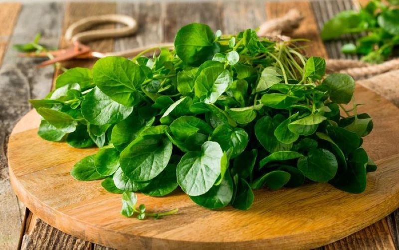 Nhặt và rửa sạch rau cải xoong 