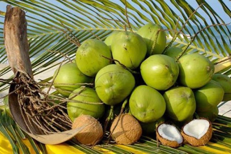 Bí quyết chọn dừa ngon!