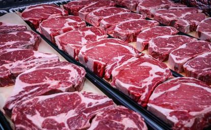 Thịt bò nhập khẩu tươi ngon tại Hà Nội